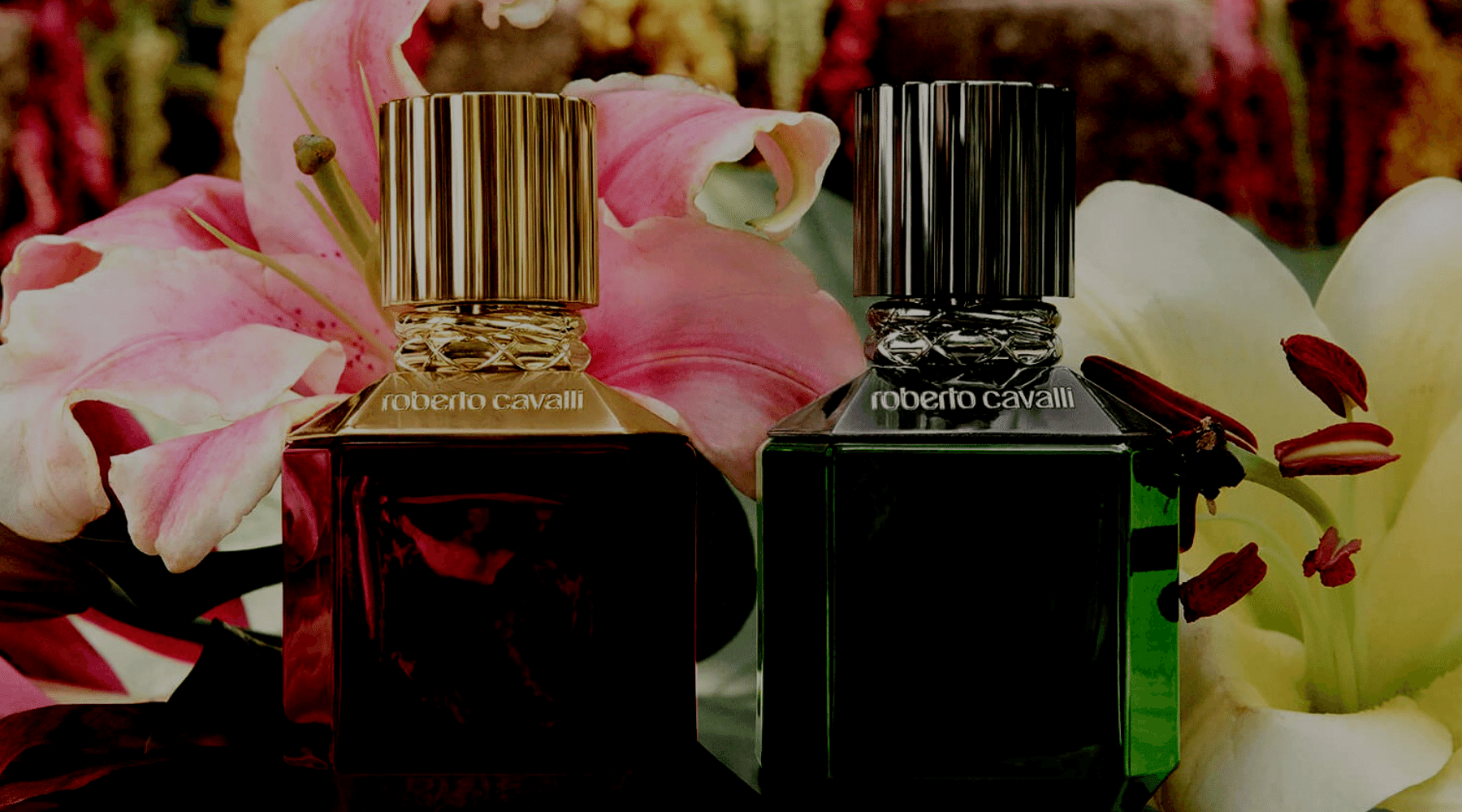 Roberto Cavalli - Beauté - Your Beauty Boutique Online ♥